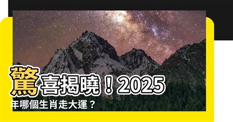 2025年屬什麼